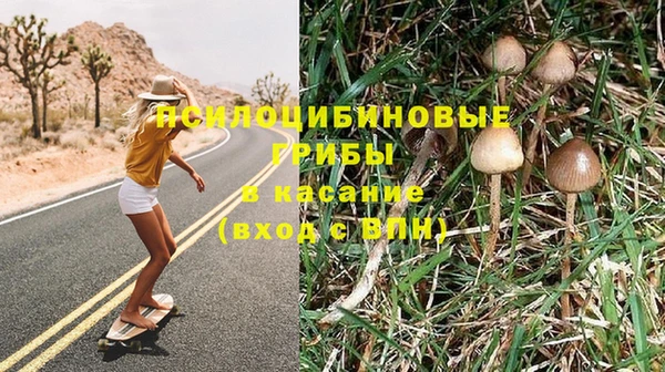 тгк Семикаракорск
